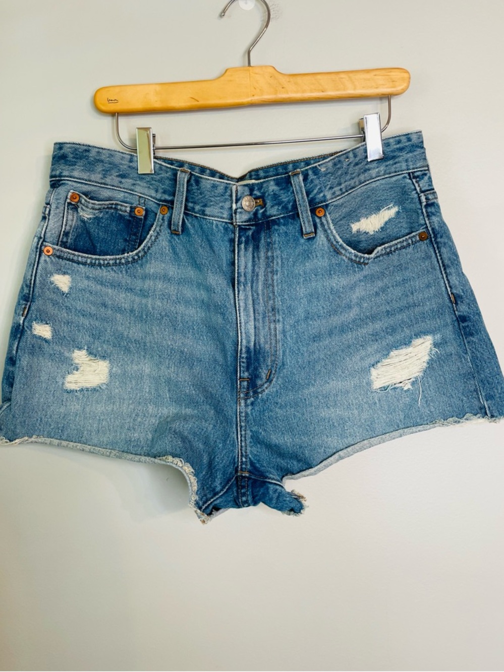 NWOT Madewell Relaxed Denim Shorts Distressed